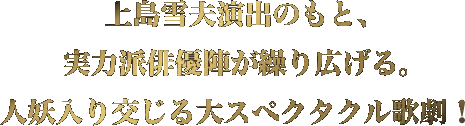 上島雪夫演出のもと、実力派俳優陣が繰り広げる。人妖入り交じる大スペクタクル歌劇！