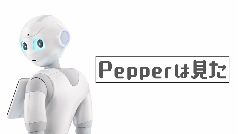 Pepperは見た